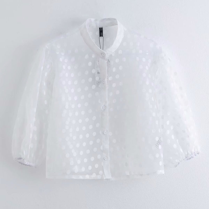 Spring Cross-border Women's Clothing Long Sleeve Polka Dot Transparent Organza Top For Women